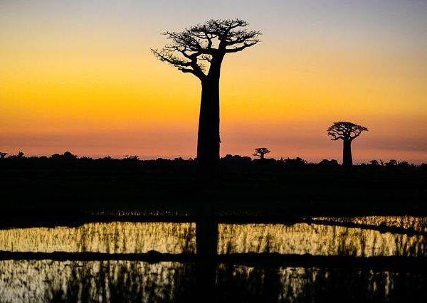 Top Adventure Travel Spots to Explore in Madagascar