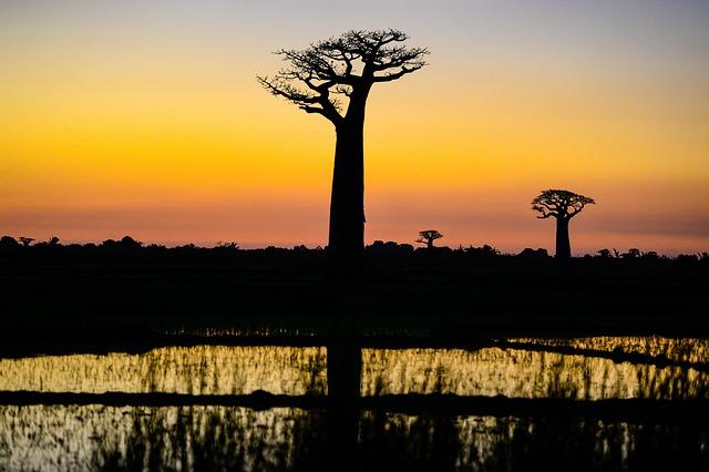 Top Adventure Travel Spots to Explore in Madagascar