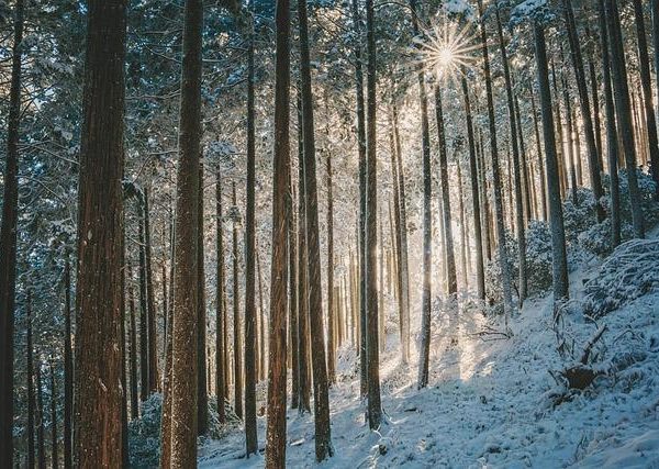 Top Winter Sun Vacations to Warm Up Your Cold Days