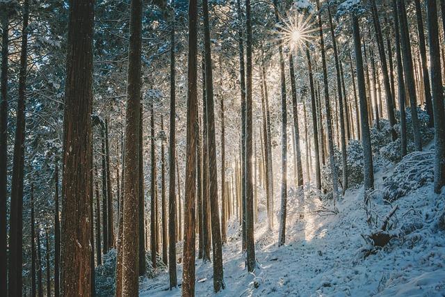 Top Winter Sun Vacations to Warm Up Your Cold Days
